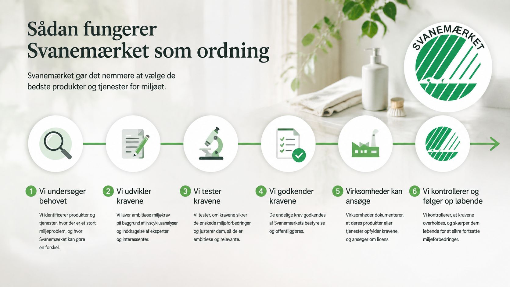 En infografik der viser de seks trin i Svanemærkets proces for miljøvenlig certificering af produkter og tjenester.