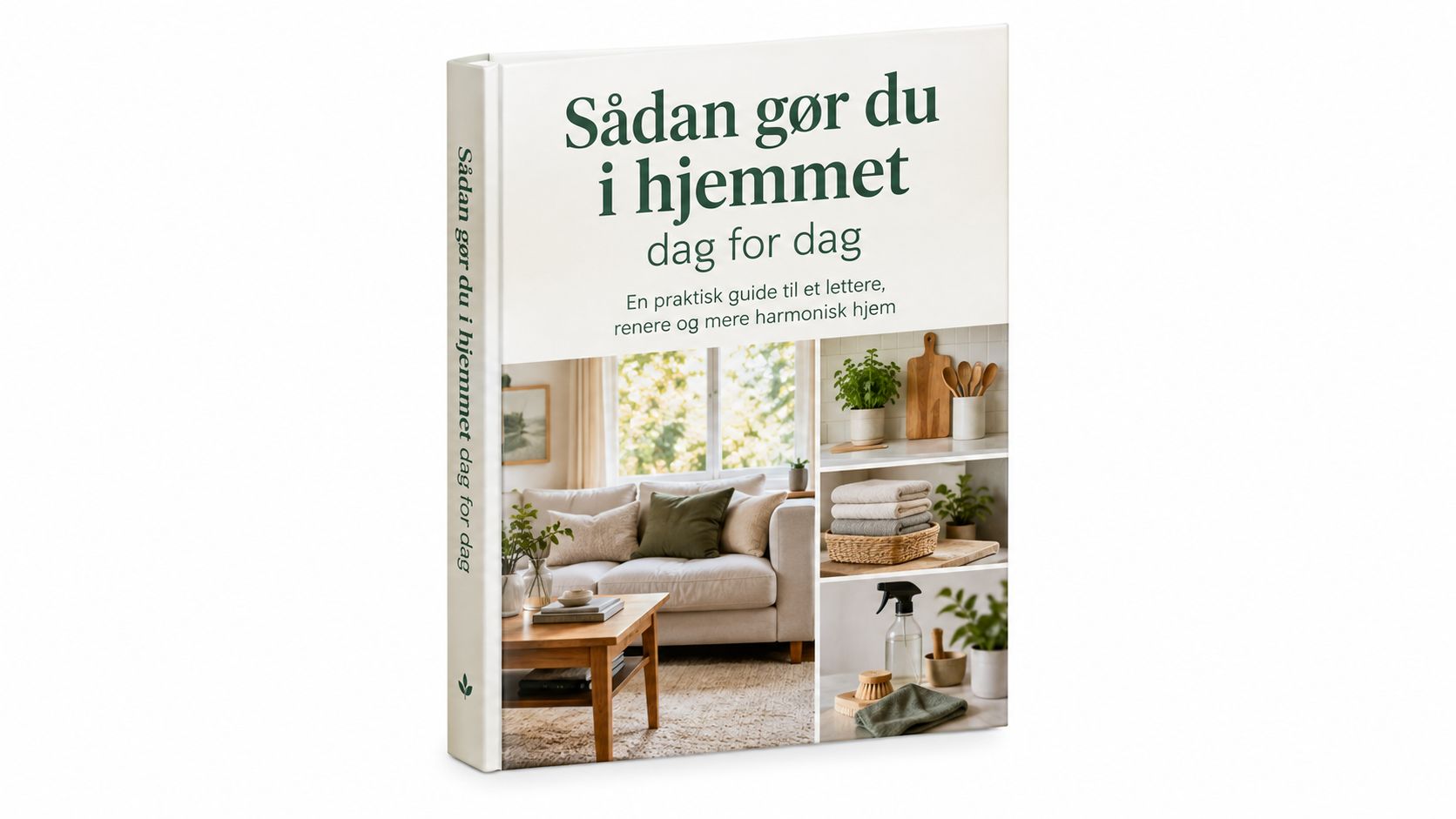 En bog med titlen Sådan gør du i hjemmet dag for dag, der fokuserer på praktisk rengøring.